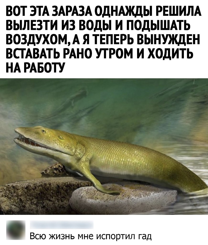 �� ���������� ���� ר! - 19 ��� 2021 � 14:01