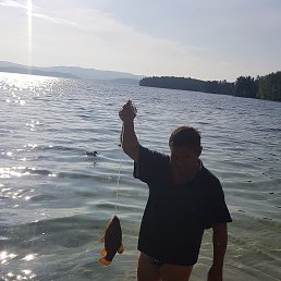 ���� �����, �����, 66 ��� - ��������� 13 ���� 2021