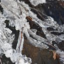 �������� �������� �� ������� ���� ����������