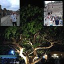 ���� ���������, ������, 72 ���� - ��������� 12 ���� 2021 � ������ ���� ����������