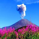 ���� ����, ���������, 42 ���� - ��������� 19 ������� 2021 � ������ ���� ����������