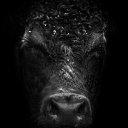 ���� �����, ������������, 40 ��� - ��������� 8 �������� 2021 � ������ ���� ����������