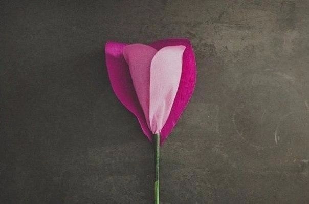 Роза из цветной гофробумаги для фотосессии - 7