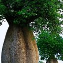 ���� �����, ���� - ��������� 6 ������� 2021 � ������ ���������
