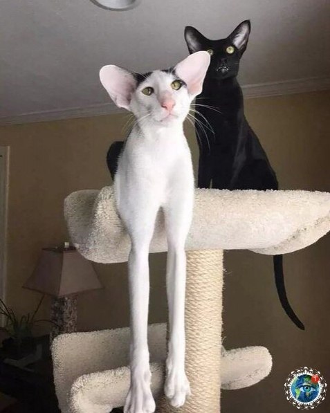 o oa oop o o e!