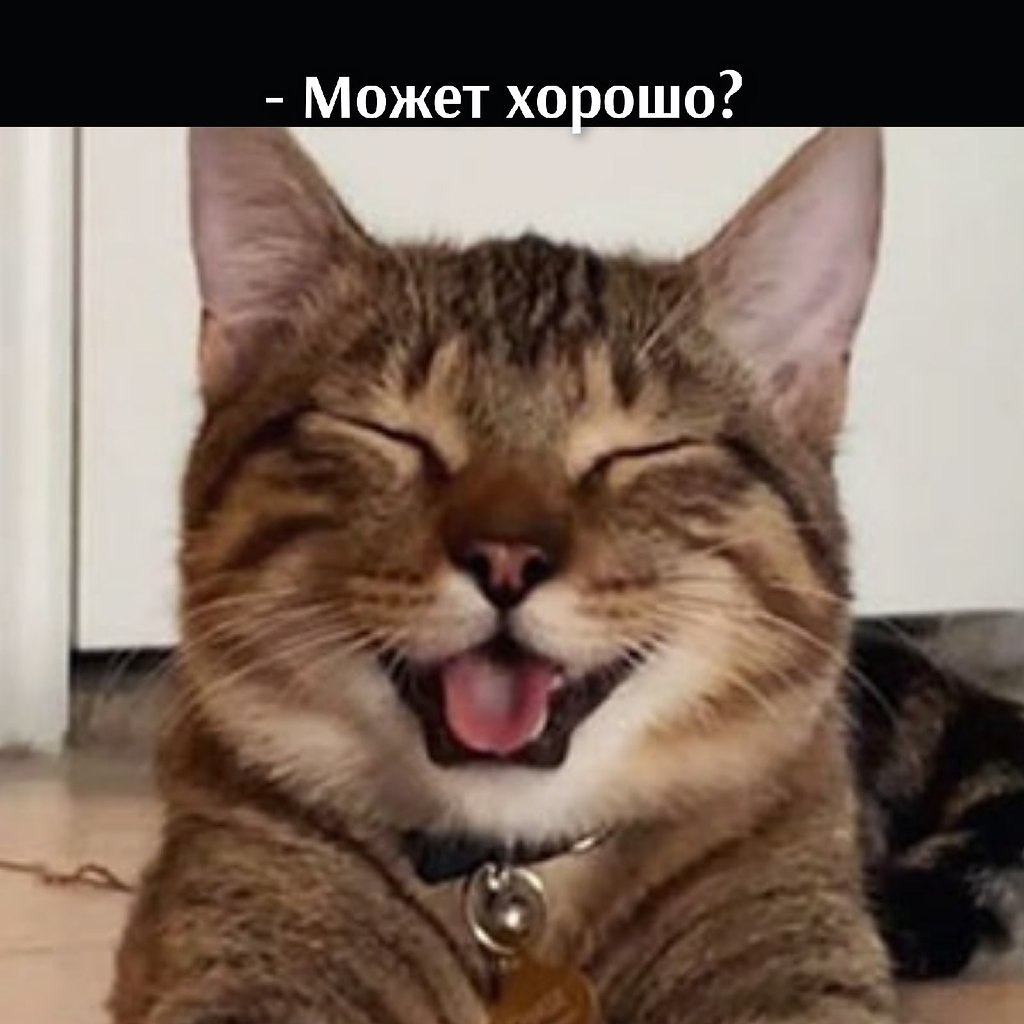       - 31  2021  19:11 - 3