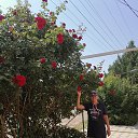 ���� �������, ���������, 49 ��� - ��������� 2 ������� 2021 � ������ ���� ����������