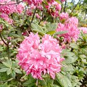 ���� ����, �����-���������, 68 ��� - ��������� 9 ���� 2021 � ������ ����� 2021�