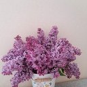 ���� ����, ����� - ��������� 29 ������ 2021 � ������ ���� ����������
