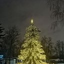 ���� Elle, ������ - ��������� 7 ������ 2022 � ������ ���� ����������