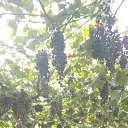  , -, 46  -  12  2021