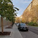 ���� �������, ������, 54 ���� - ��������� 4 ������� 2021 � ������ ������ ��������