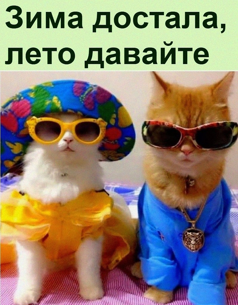 ������ ��������� :D - 23 ������ 2022 � 08:19