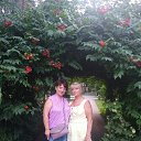  ,  -  18  2021    2021