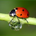 ���� ��������, ��������, 47 ��� - ��������� 28 ��� 2021 � ������ ���� ����������