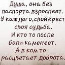 ���� �����, ������������ - ��������� 9 ������ 2022 � ������ ������ ��������