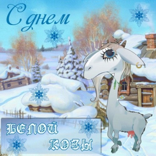 Сегодня день белой козы. Причём всё логично - это день приманивания снега. О пользе снега зимой нам ...