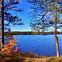 ���� ����, ���������� - ��������� 9 ������� 2021