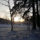 ���� ���������, ������, 63 ���� - ��������� 7 ������ 2022 � ������ ���� ����������