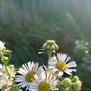 ���� ������, �������, 49 ��� - ��������� 1 ������ 2021 � ������ ���� ����������