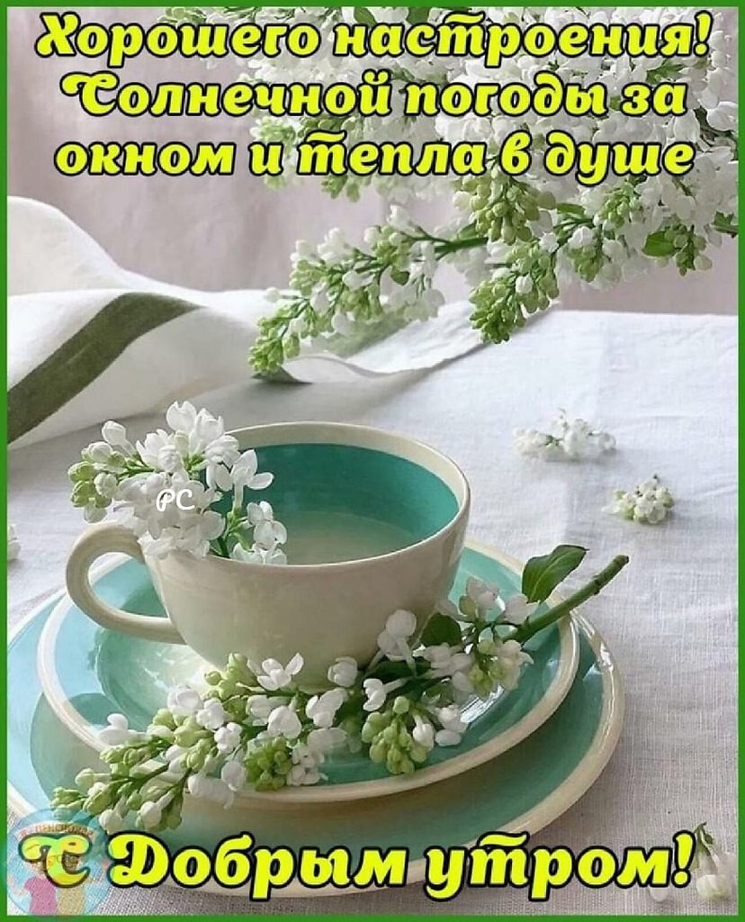 ПРИВЕТСТВИЯ и ПОЖЕЛАНИЯ, открытки на каждый день. опубликовал пост от 28  марта 2021 в 00:36 | Фотострана | Пост №2305899385