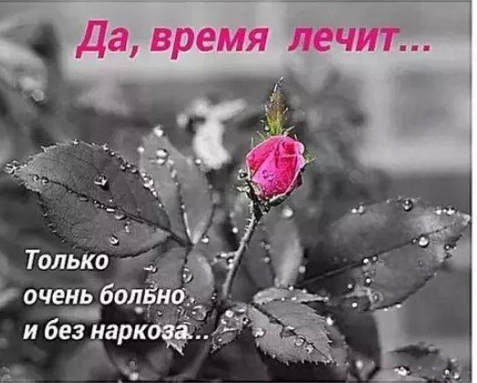  - 14  2021  19:26