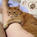 ���� �����, ����-����������� - ��������� 30 ������ 2021 � ������ ���� ����������