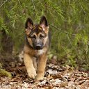 ���� ������, �����-��������� - ��������� 8 ���� 2021 � ������ ������ ��������