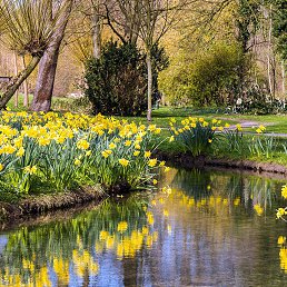 ��������, ���������, 38 ���