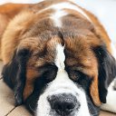  ,  , 39  -  10  2021    