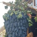 ���� ���������, ������, 57 ��� - ��������� 11 ������� 2021 � ������ ���� ����������