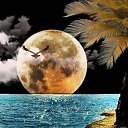 ���� Svetlana, ���������, 54 ���� - ��������� 22 ������� 2021 � ������ ���� ����������