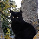 ���� �����, �������, 67 ��� - ��������� 15 ������ 2022 � ������ ���� ��������