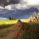 ���� �������, �����������, 49 ��� - ��������� 10 ��� 2021