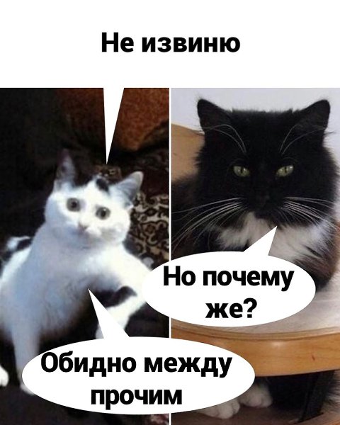 Интересный способ получить работу, стоит попробовать сделать так же: Шальная - 2