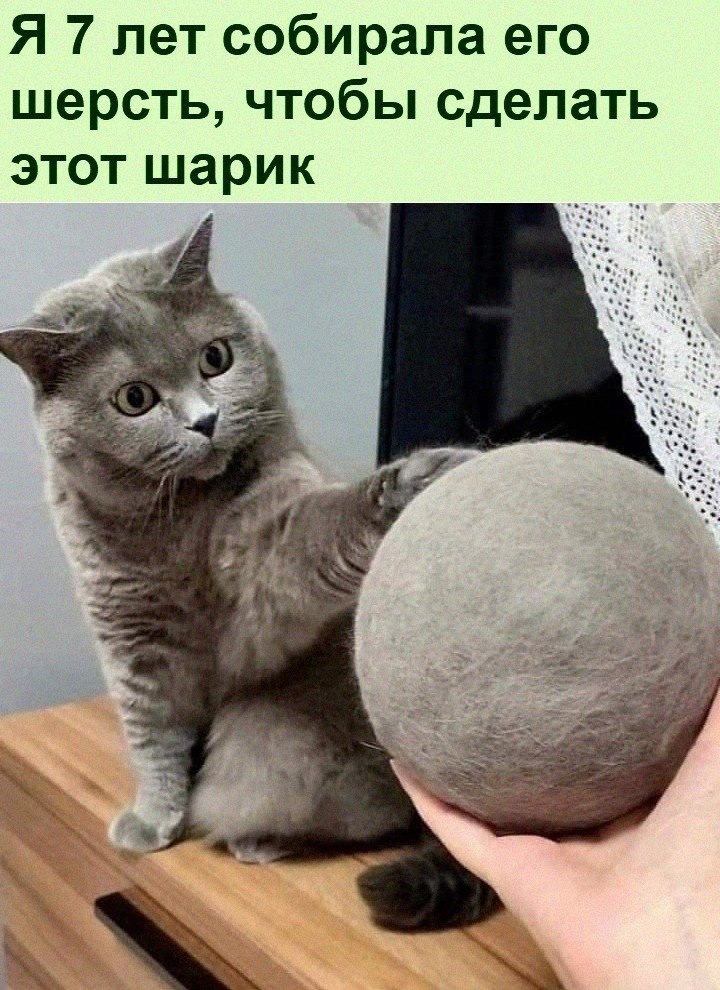   :D - 19  2022  14:47