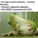 ���� �������, ������ - ��������� 7 ���� 2021 � ������ ������ ��������