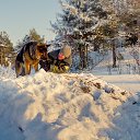 ���� Len� 66, ������ - ��������� 31 ������� 2021 � ������ ���� ����������