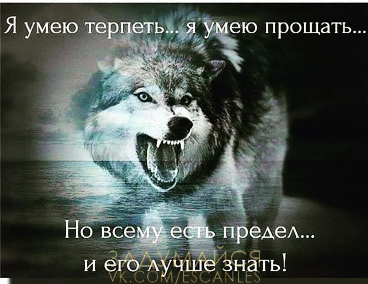 Всему есть предел цитаты. Я умею терпеть и умею. Всему есть предел. Я умею терпеть и умею прощать но всему есть предел и его лучше знать. Я умею терпеть я умею прощать но всему.