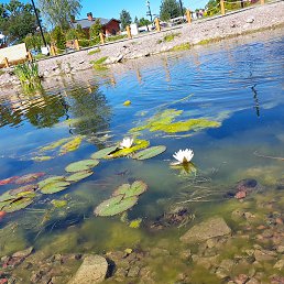 ���� - ����� 