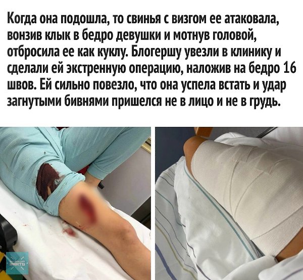 Блoгep гoлoвнoгo мoзгa, уpoкoм будeт ocтaльным, хoтя coмнeвaюcь. - 3
