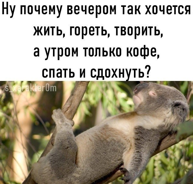 Я не стерва, это нервы© Статусы - 3 июля 2021 в 18:24