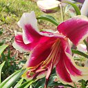 ���� �������, ����� - ��������� 22 ���� 2021 � ������ ���� ����������