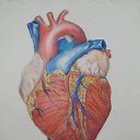 ���� Levani, �������, 49 ��� - ��������� 18 ��� 2021 � ������ ���� ����������