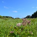  , , 69  -  3  2021    .  .