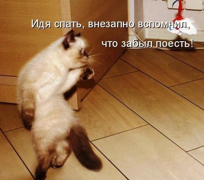 ��� �������� �������� - 2 ������ 2022 � 01:32
