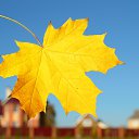 ���� ����� �������, ������ - ��������� 11 �������� 2021 � ������ ���� ����������