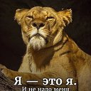 ���� ����, ���������� - ��������� 19 ������� 2021 � ������ �������� � �������)�