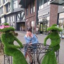 ���� ����, �����������, 49 ��� - ��������� 11 ������ 2021 � ������ ���� ����������