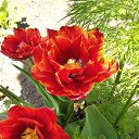 11.05.2021� �� ������� �2021�
